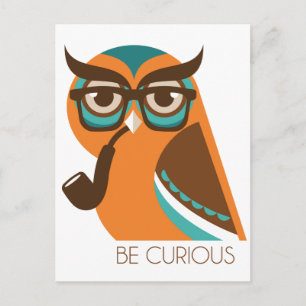 Quizik Owl Postkarte