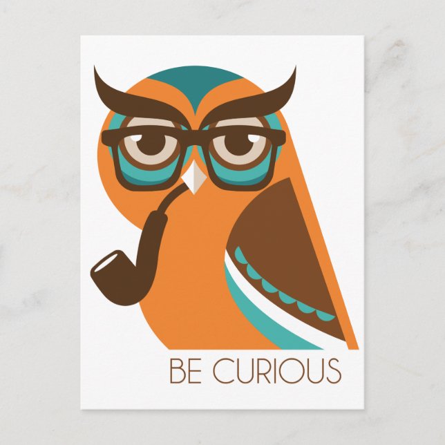 Quizik Owl Postkarte (Vorderseite)