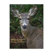Quoi?! C'est ton anniversaire?! Carte postale