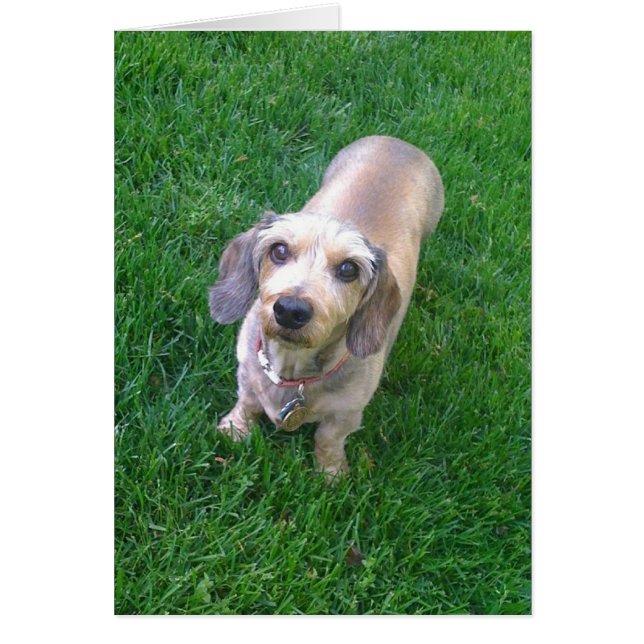 Quoi de neuf ? (Devant)