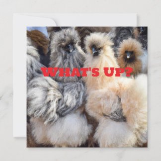 Quoi de neuf, Carte Beurre au poulet