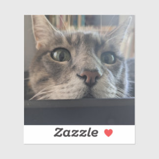 Quoi de neuf, Cat ? Sticker 3" Vinyl