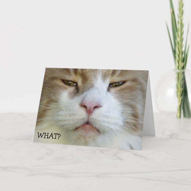 Quoi ? Joyeux anniversaire ! - Carte d'anniversair (Devant)