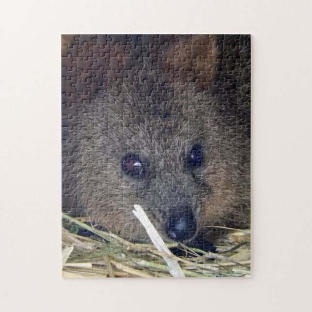 Quokka (Vertikal)