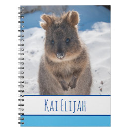 Quokka am Strand, Blue Boys Notizblock