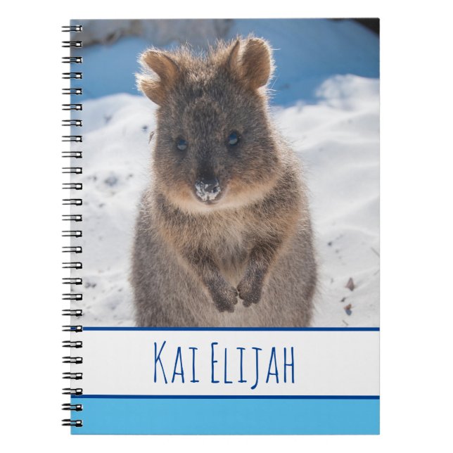 Quokka am Strand, Blue Boys Notizblock (Vorderseite)