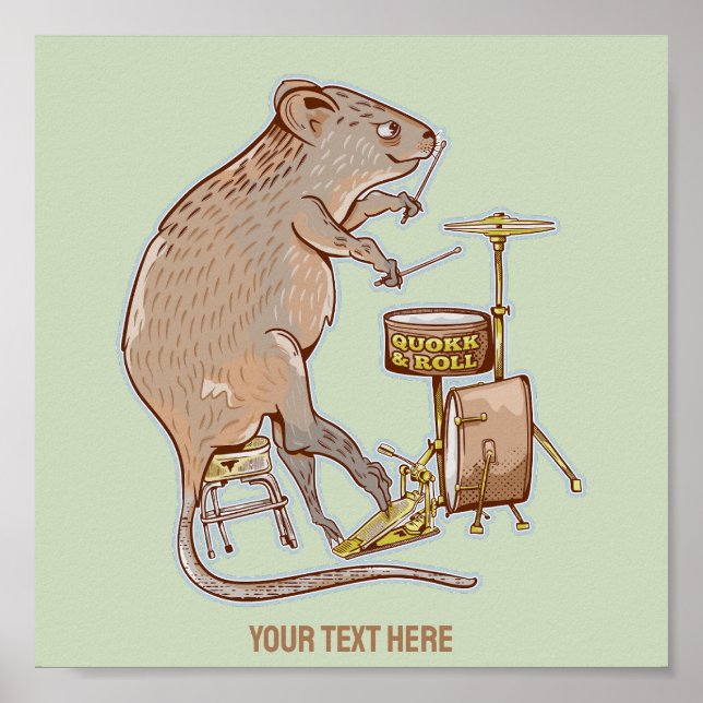 Quokka Australian Animal Drummer Poster (Vorne)