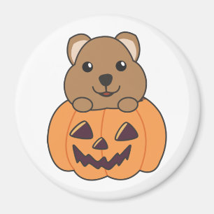 Quokka in Pumpkin Niedlichen Quokkas glückliche Ha Magnet