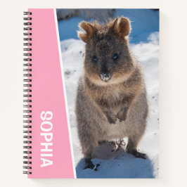 Quokka on the Beach Australia, Pink Accent Girls Notizbuch