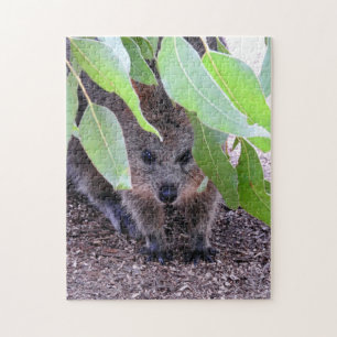 Quokka Puzzlespiel
