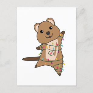 Quokka Weihnachten Schnee Wintertiere Quokkas