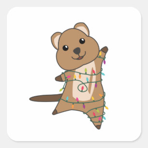 Quokka Weihnachtsschnee Wintertiere Quokkas Quadratischer Aufkleber