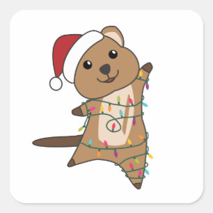 Quokka Weihnachtsschnee Wintertiere Quokkas Quadratischer Aufkleber