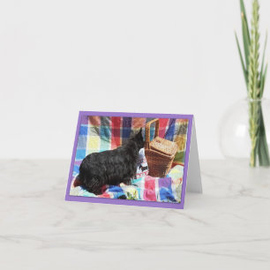 Qu'y a-t-il dans le panier ?