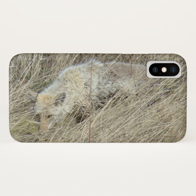 R13 Coyote im Gras Case-Mate iPhone Hülle (Rückseite (Horizontal))
