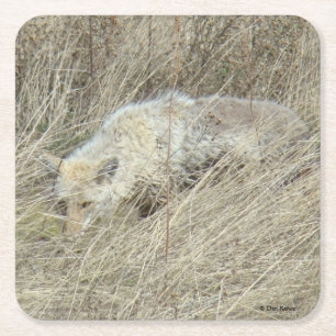 R13 Coyote in Großgras Rechteckiger Pappuntersetzer