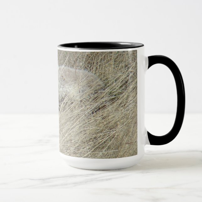 R13 Coyote in Großgras Tasse (Rechts)