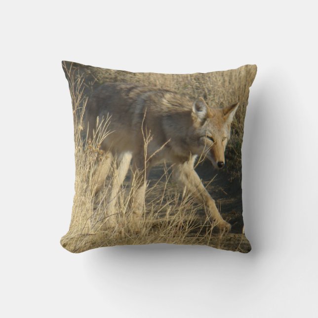 R14 Coyote Walking Kissen (Vorderseite)