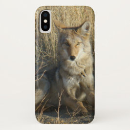 R15 Coyote Lay iPhone X Hülle