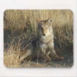 R15 Coyote Lay Mousepad