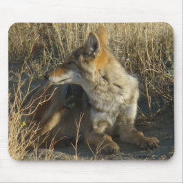R16 Coyote Lay Mousepad