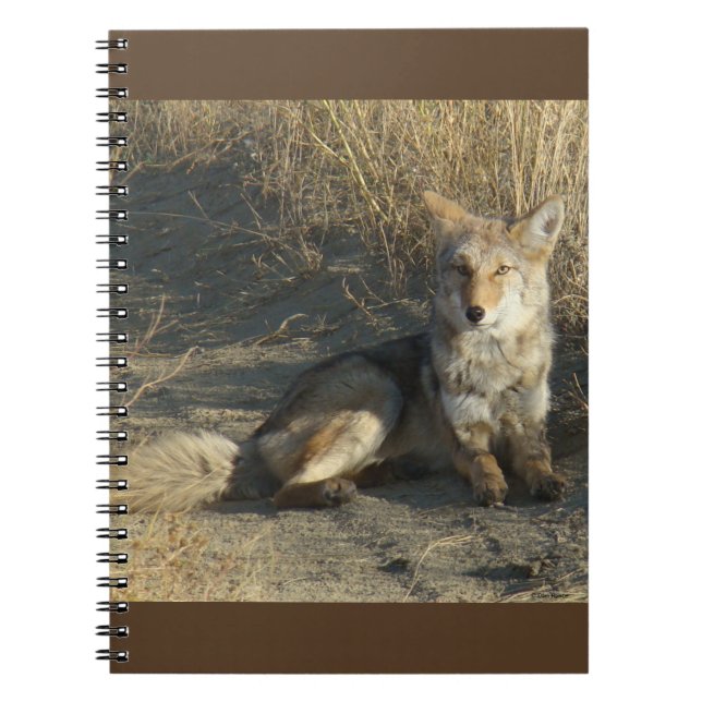 R19 Coyote Lay Notizblock (Vorderseite)