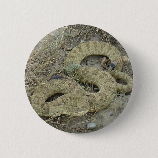 R20 Prärie-Klapperschlange Button (Vorderseite)