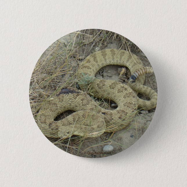 R20 Prärie Rattlesnake Button (Vorderseite)