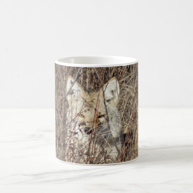 R21 Coyote "Watching You" Kaffeetasse (Mittel)