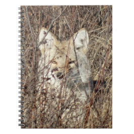 R21 Coyote "Watching You" Notizblock