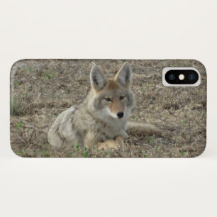 R22 Coyote Lay iPhone X Hülle