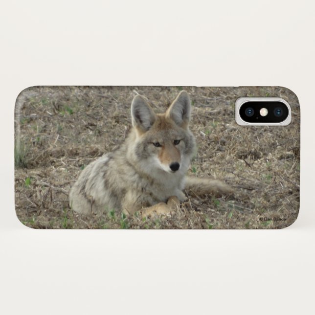 R22 Coyote Lay Case-Mate iPhone Hülle (Rückseite (Horizontal))