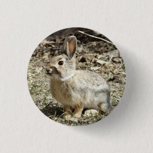R24 Baumwollschwanzkaninchen Button