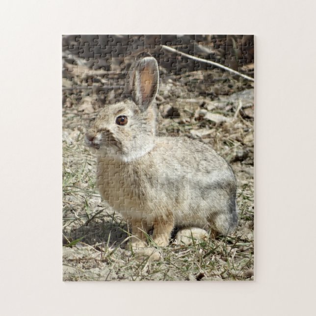 R24 Kaninchen aus Baumwolle und Schwanz (Vertikal)