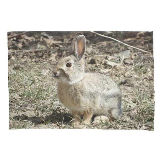 R24 Kaninchen aus Baumwolle und Schwanz Kissenbezug (Vorderseite)