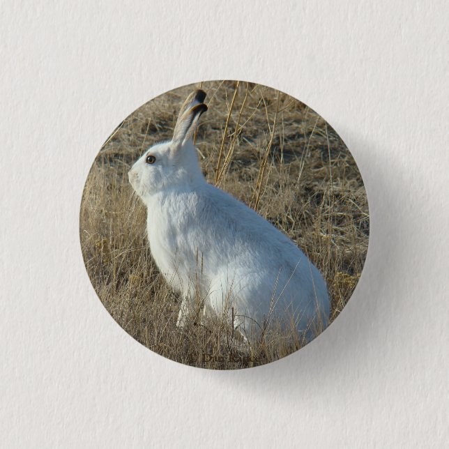 R25 Schneeschuh-Hare Button (Vorderseite)