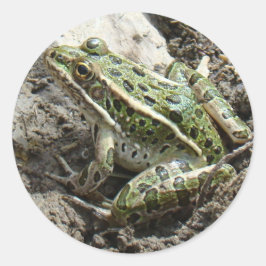 R3 Leopard Frosch Runder Aufkleber