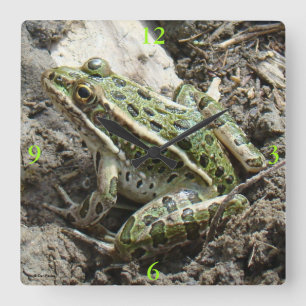 R3 Leopardenfrosch Quadratische Wanduhr