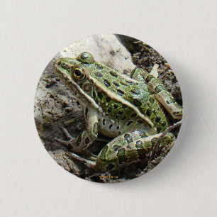 R3 Leopardfrosch Button
