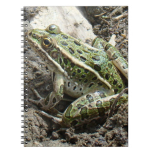R3 Leopardfrosch Notizblock