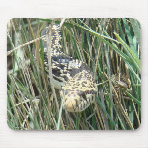 R4 Stier Schlange im Gras Mousepad