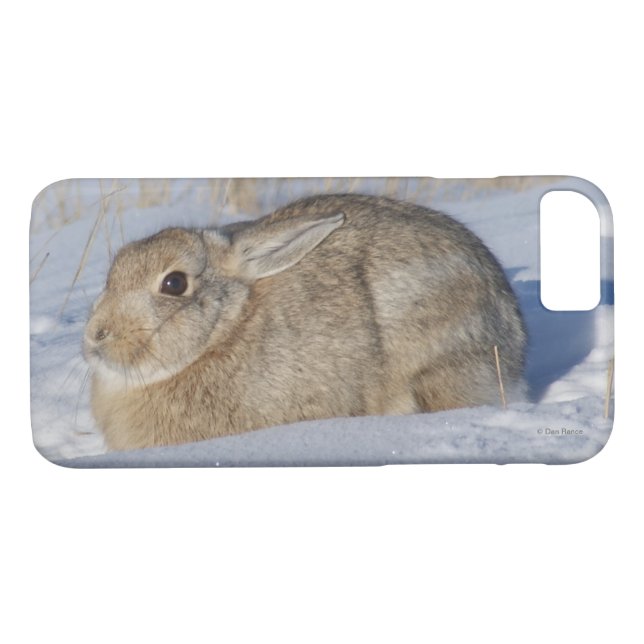 R5 Cottontail Kaninchen im Schnee Case-Mate iPhone Hülle (Rückseite (Horizontal))