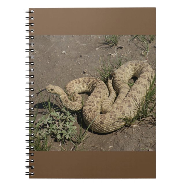 R6 Prairie Rattlesnake Notizblock (Vorderseite)
