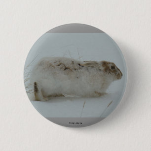 R7 Schneehase Fertig zum Laufen Button