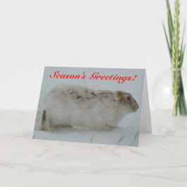 R7 Schneeschuh-Hase Feiertagskarte