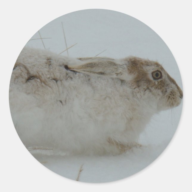 R7 Schneeschuhschuhe bereit zum Laufen Runder Aufkleber (Vorderseite)