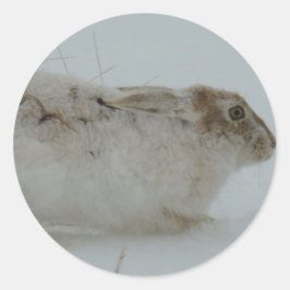 R7 Schneeschuhschuhe bereit zum Laufen Runder Aufkleber