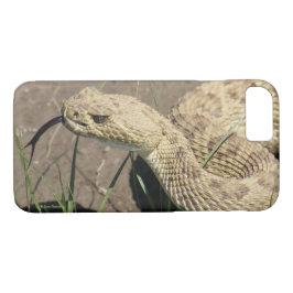 R8 Prairie Rattlesnake Head Shot Case-Mate iPhone Hülle