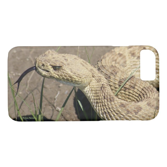 R8 Prairie Rattlesnake Head Shot Case-Mate iPhone Hülle (Rückseite (Horizontal))
