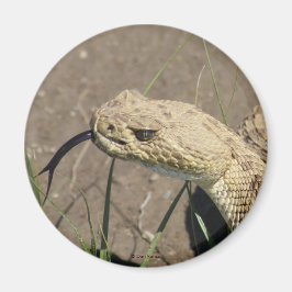 R8 Prairie Rattlesnake Head Shot Magnet